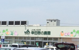 写真 (3)