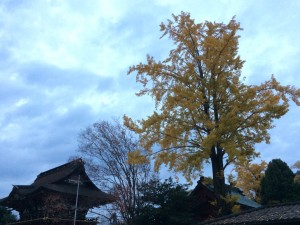 img_4986.jpg
